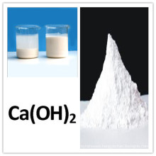 Hydrated Lime/Calcium Hydroxide Industry/ Food/ Medical Grade, CAS No. 1305-62-0